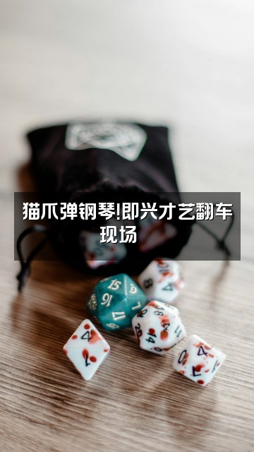 抖音猫猫喵（话唠助眠版）视频封面：猫爪弹钢琴！即兴才艺翻车现场🐾